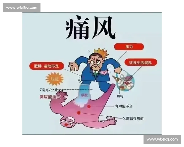 以腰部健康为核心的全身调理与生活方式优化指南